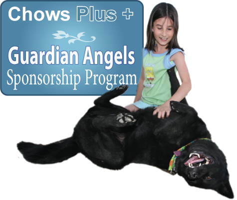 Be a Guardian Angel